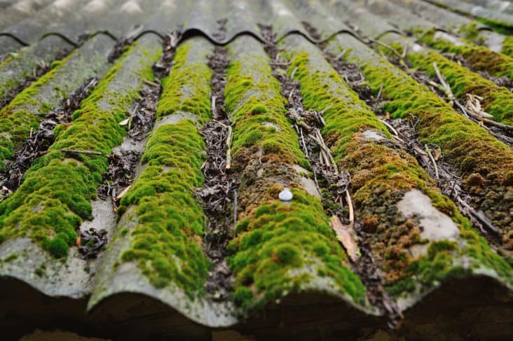 Anti mousse toiture : le guide complet (2025)