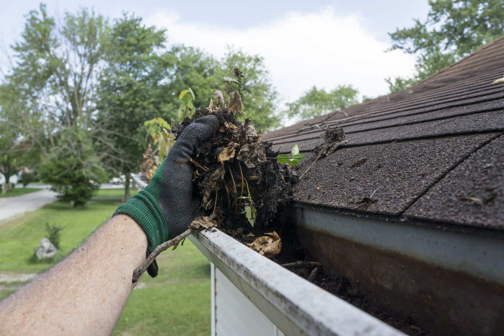 Comment nettoyer sa toiture de la pollution et des salissures noires ? 