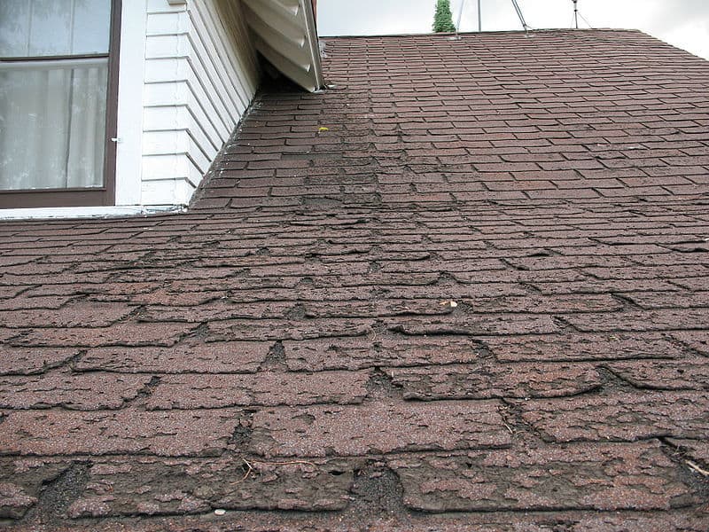 entretien d'un toit en shingle