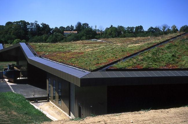 Toiture végétalisée exemple