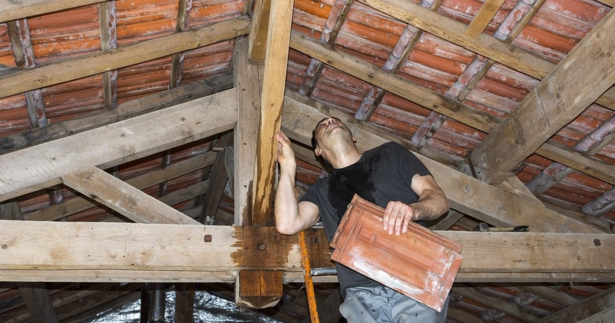 Détecter et réparer une fuite d'eau sur une toiture - La Maison